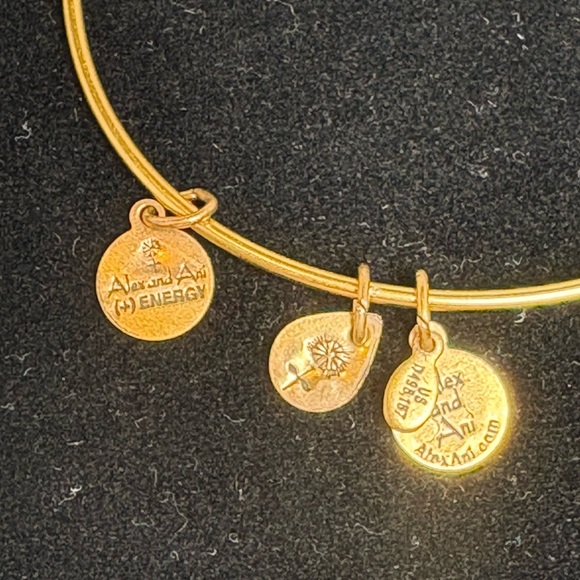Gold Tone Alex and Ani Dolphin Charm Bangle Bracelet - Picture 3 of 5